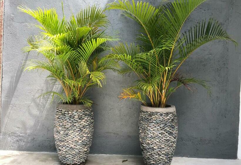 غرفة قياسية سرير كينج, Lempuyang Boutique