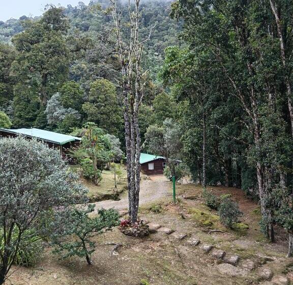 חדר סטנדרט, Miriam S Quetzals Lodge