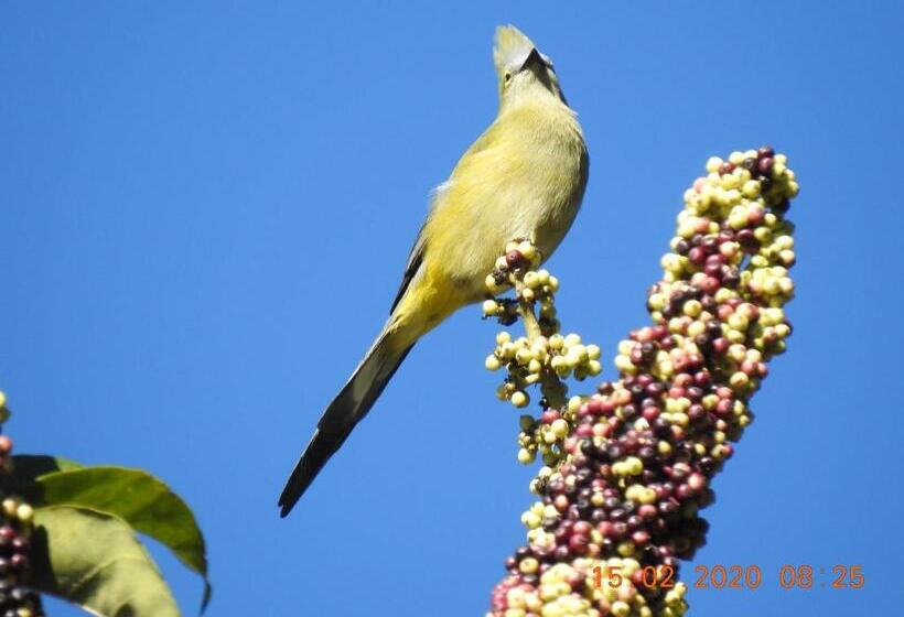 スタンダードルーム, Miriam S Quetzals Lodge