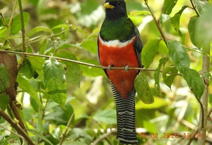 スタンダードルーム, Miriam S Quetzals Lodge