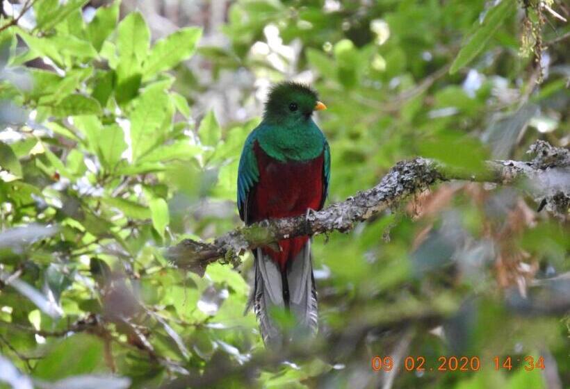 חדר סטנדרט, Miriam S Quetzals Lodge