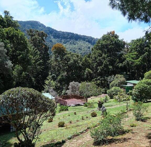 חדר סטנדרט לשלושה, Miriam S Quetzals Lodge