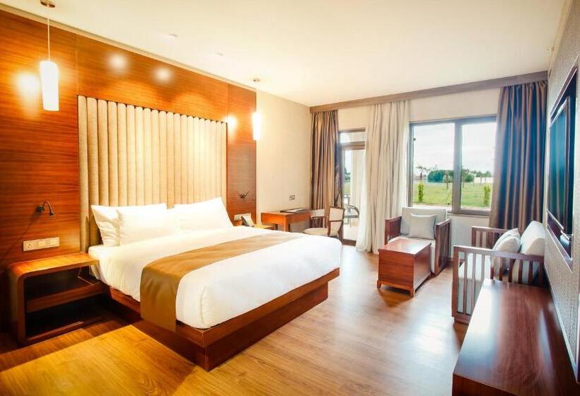 اتاق لوکس, Anaklia Resort by Pratap's Signature