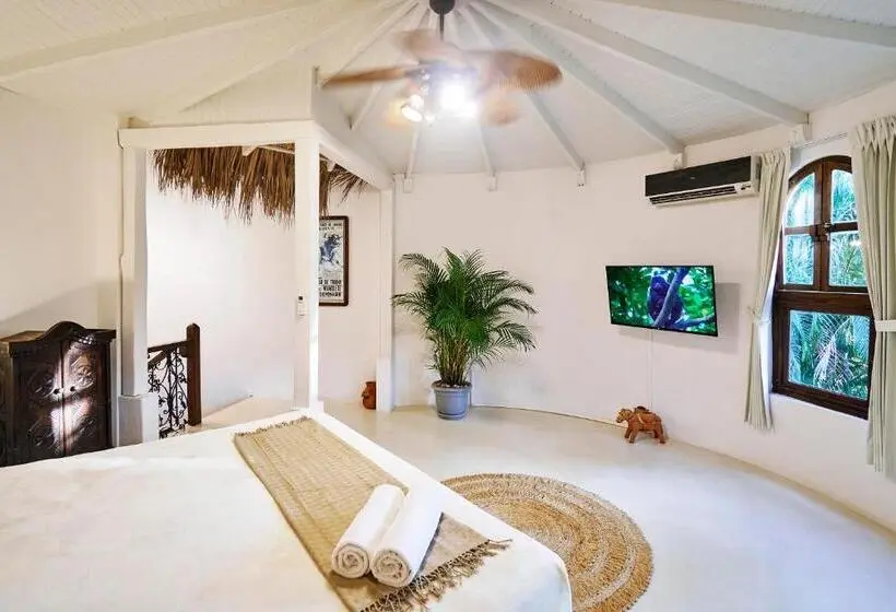 オーシャンビューデラックススイート, Paradise Beach Lodge