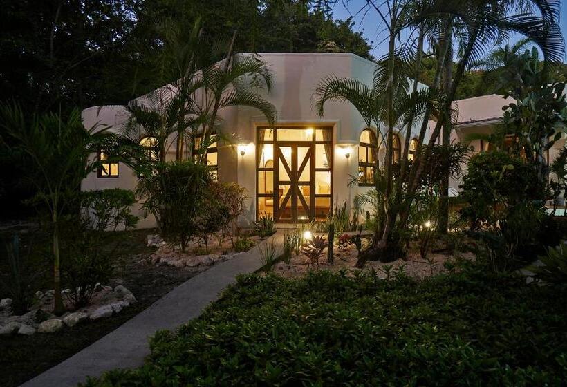 جناح سرير كينج, Paradise Beach Lodge