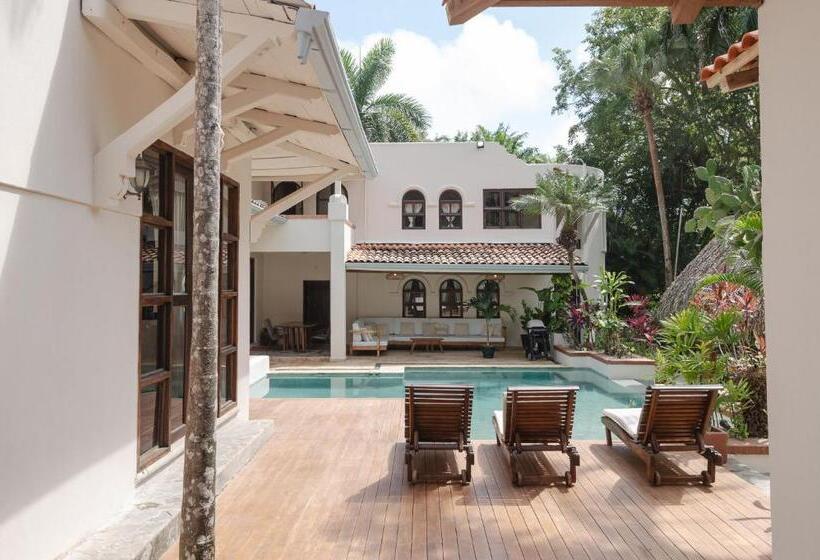 جناح ديلوكس, Paradise Beach Lodge