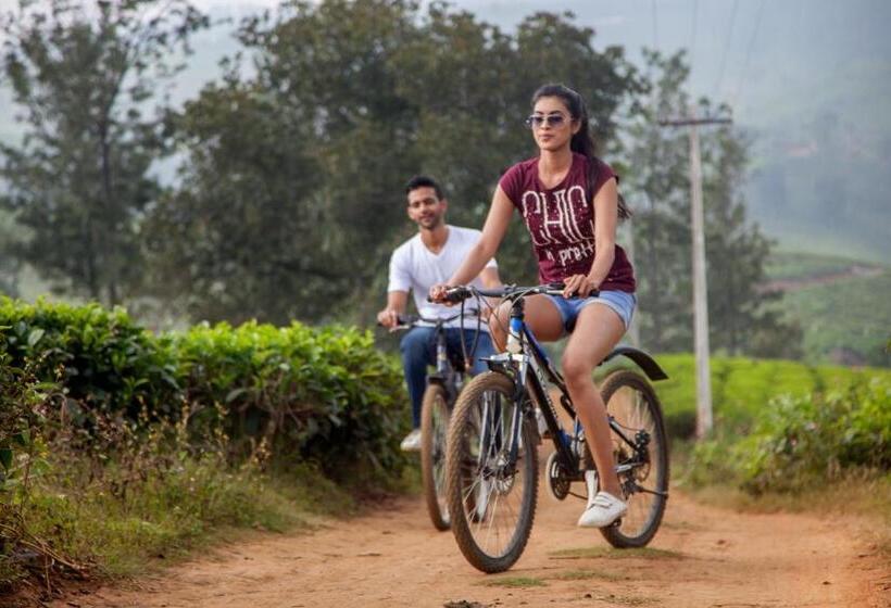 一居室别墅, The Realm