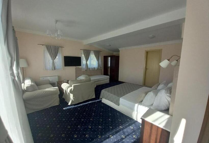 스탠다드 트리플 룸, Aleksion Palace