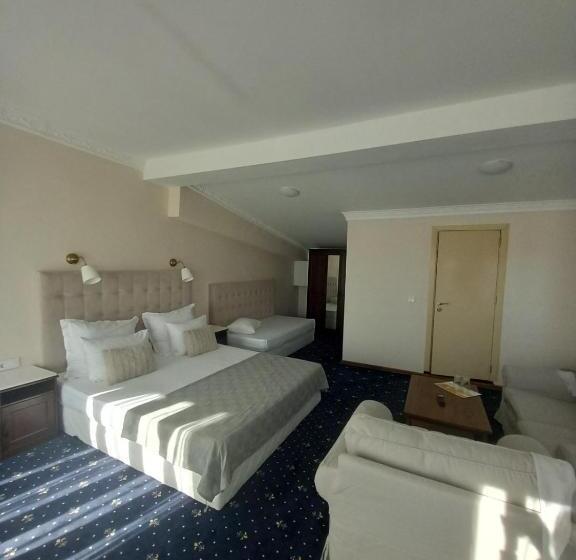 스탠다드 트리플 룸, Aleksion Palace