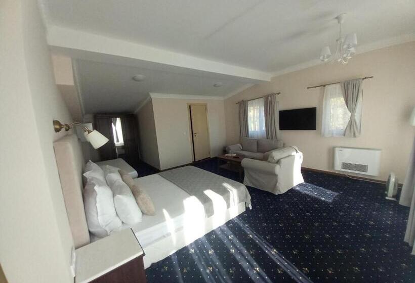 스탠다드 트리플 룸, Aleksion Palace