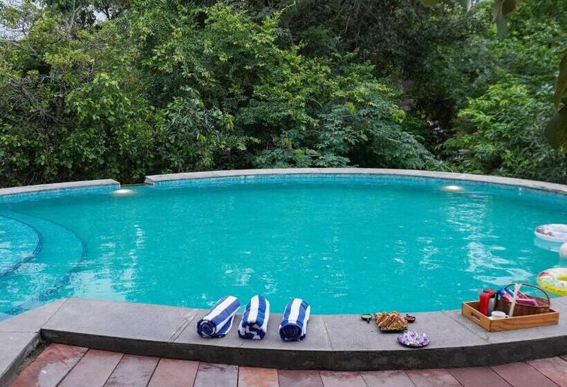 家庭套房, Bella Basera