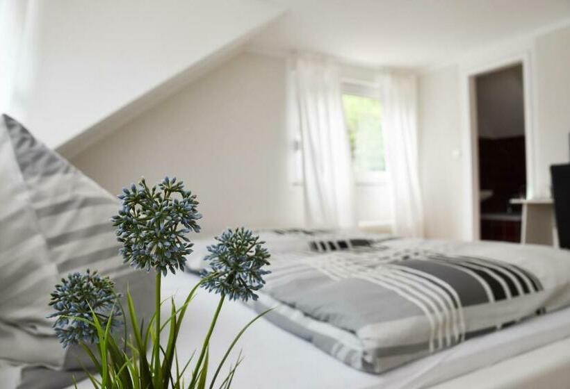 غرفة قياسية, Mads