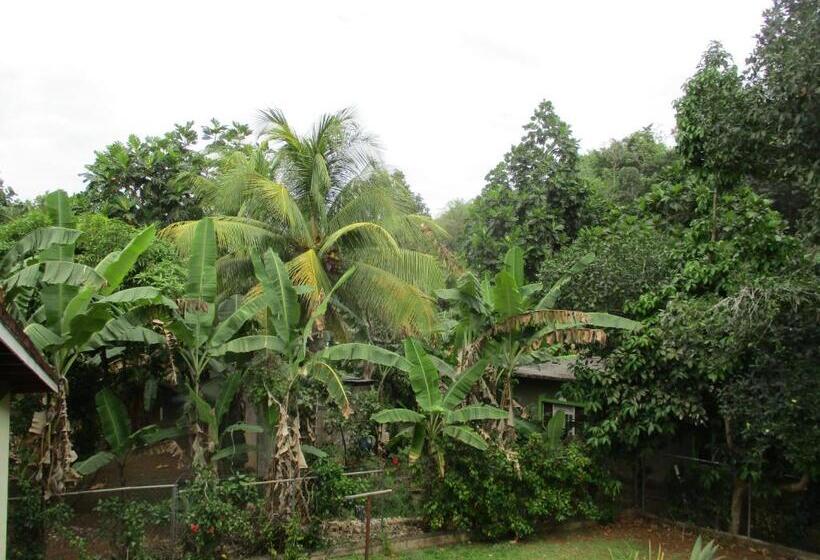 اتاق استاندارد با سرویس بهداشتی مشترک, Ritashomeawayfromhome