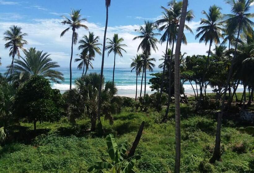 آپارتمان 1 خوابه با چشمانداز دریا, Oasi Encantada Beach Resort