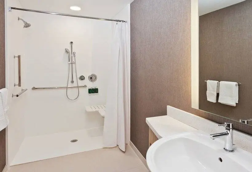 スイート, Springhill Suites By Marriott Montgomery Prattville/millbrook