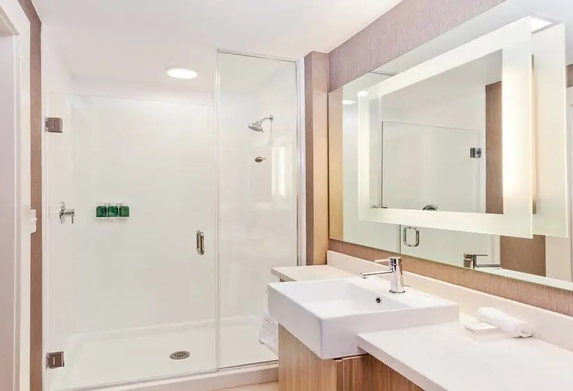 スイート, Springhill Suites By Marriott Montgomery Prattville/millbrook