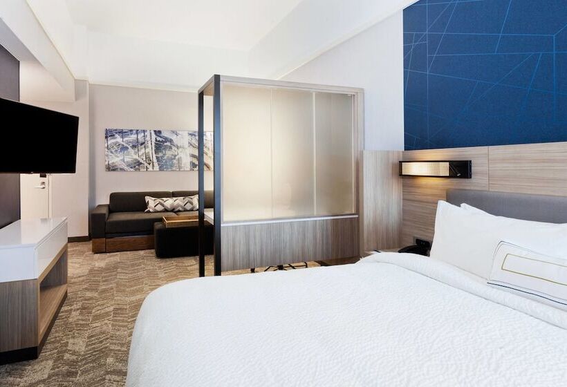 Люкс, Springhill Suites By Marriott Montgomery Prattville/millbrook
