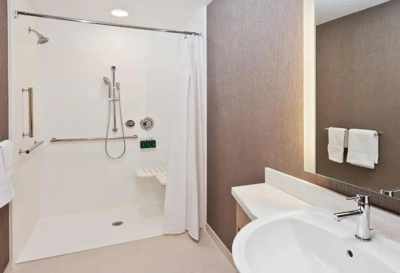 キングサイズベッドのスイートルーム, Springhill Suites By Marriott Montgomery Prattville/millbrook