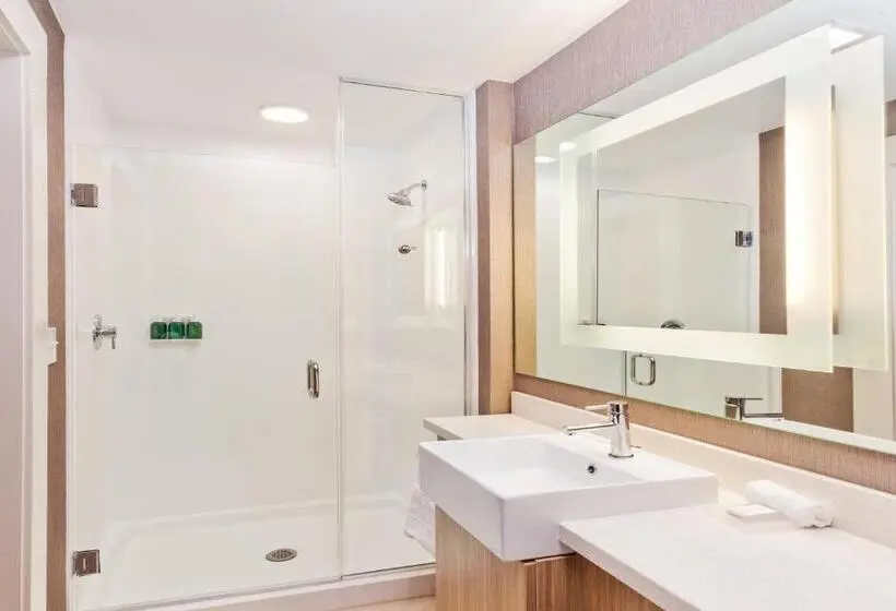 キングサイズベッドのスイートルーム, Springhill Suites By Marriott Montgomery Prattville/millbrook