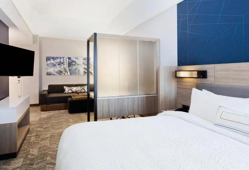 キングサイズベッドのスイートルーム, Springhill Suites By Marriott Montgomery Prattville/millbrook