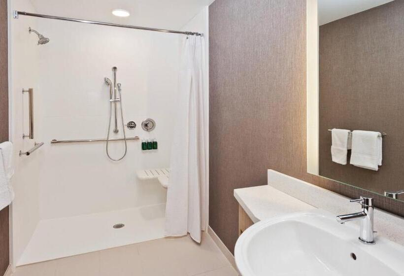 Люкс, Springhill Suites By Marriott Montgomery Prattville/millbrook
