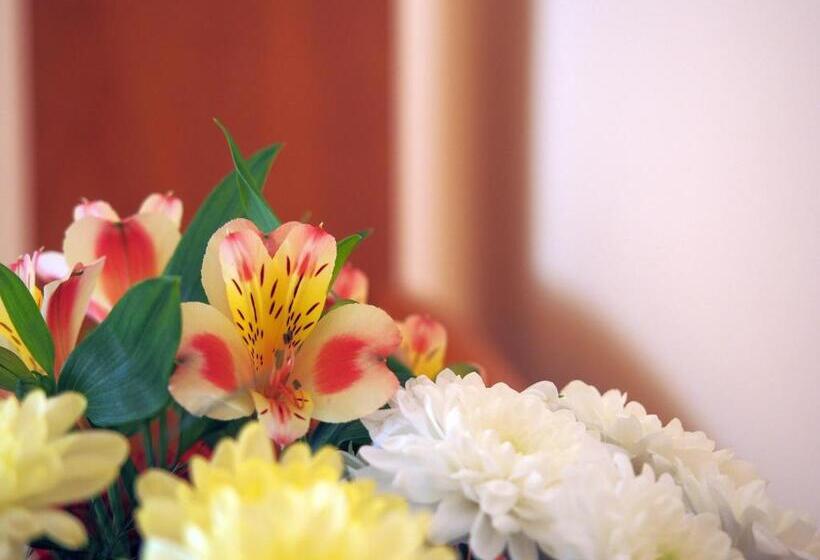 غرفة ديلوكس ثلاثية, Maria