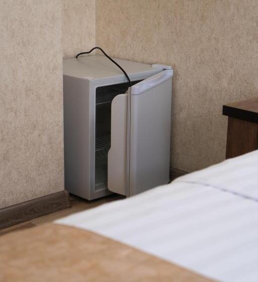 اتاق استاندارد با تخت بزرگ, Tourist Inn