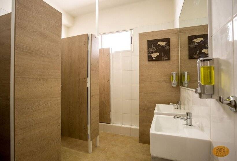 מיטה בחדר משותף, Bento Hostel   Adults Only