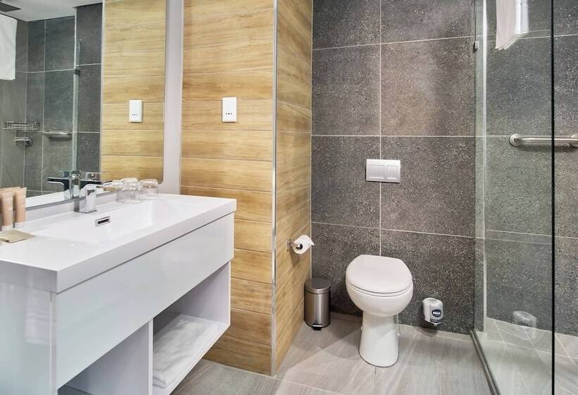 스탠다드 도시전망 룸, Protea Hotel By Marriott Pretoria Loftus Park