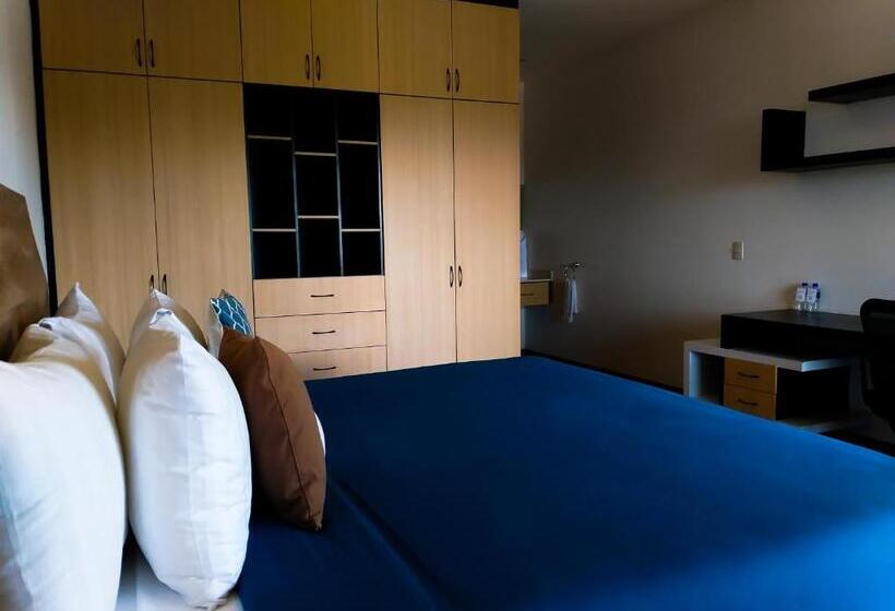 جناح جونيور مزوَّد بتراس, Room Hotel & Suites