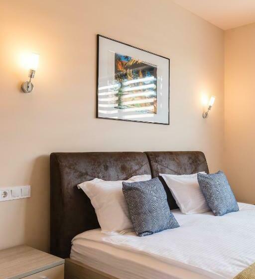 豪华房间, Pensiunea Select Central