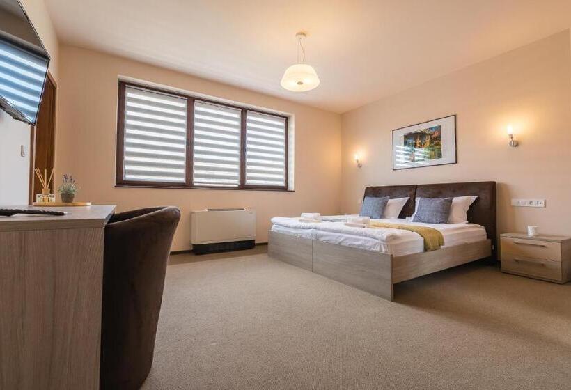 高级大房间, Pensiunea Select Central