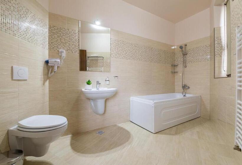 高级大房间, Pensiunea Select Central