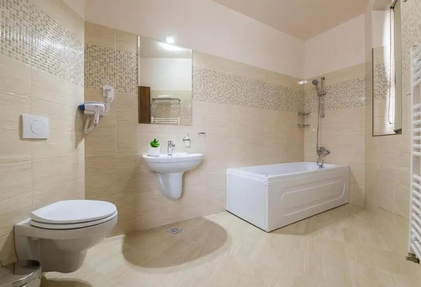 اتاق سوپریور, Pensiunea Select Central