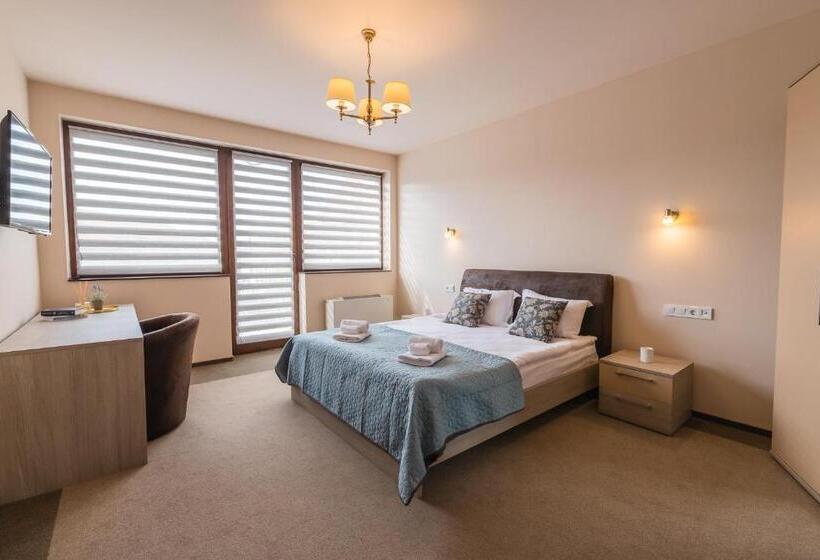 高级大房间, Pensiunea Select Central