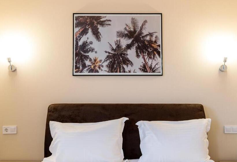 高级大房间, Pensiunea Select Central