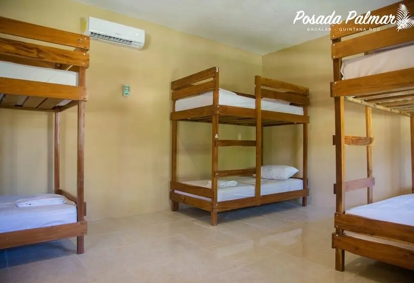 ルームシェアのワンベッド, Posada Palmar