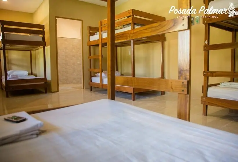 ルームシェアのワンベッド, Posada Palmar