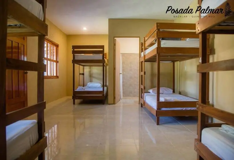 ルームシェアのワンベッド, Posada Palmar