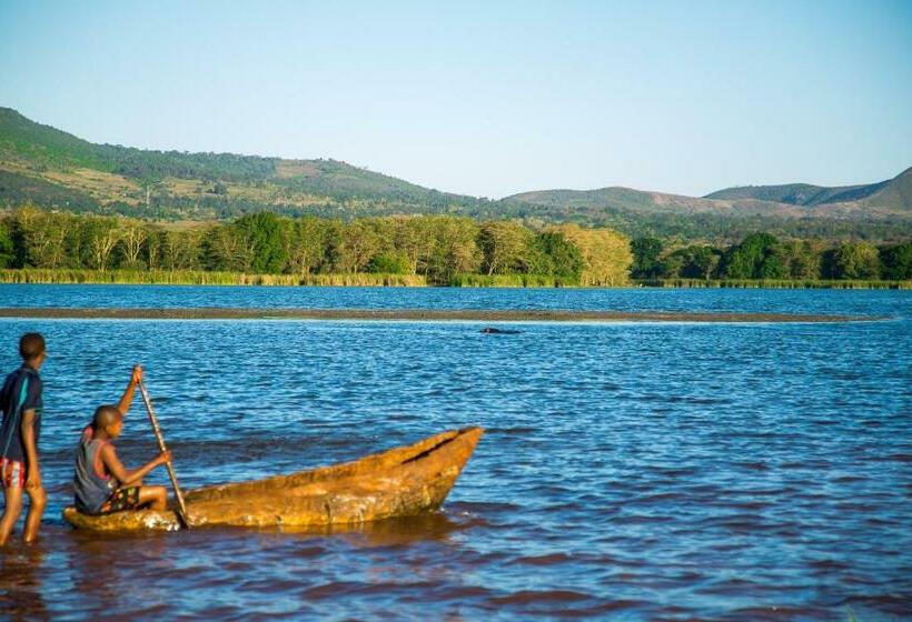 اتاق لوکس, Asmorein