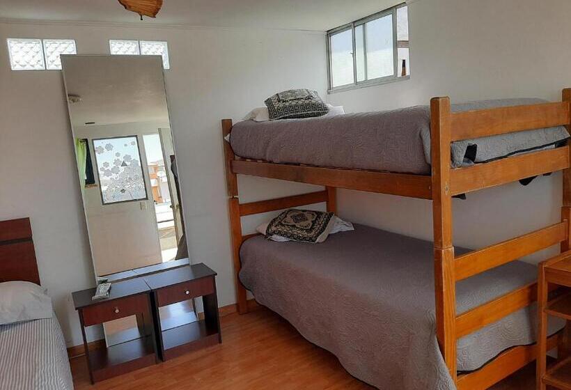 اتاق استاندارد چهار تخته, Hostal Pampaloja