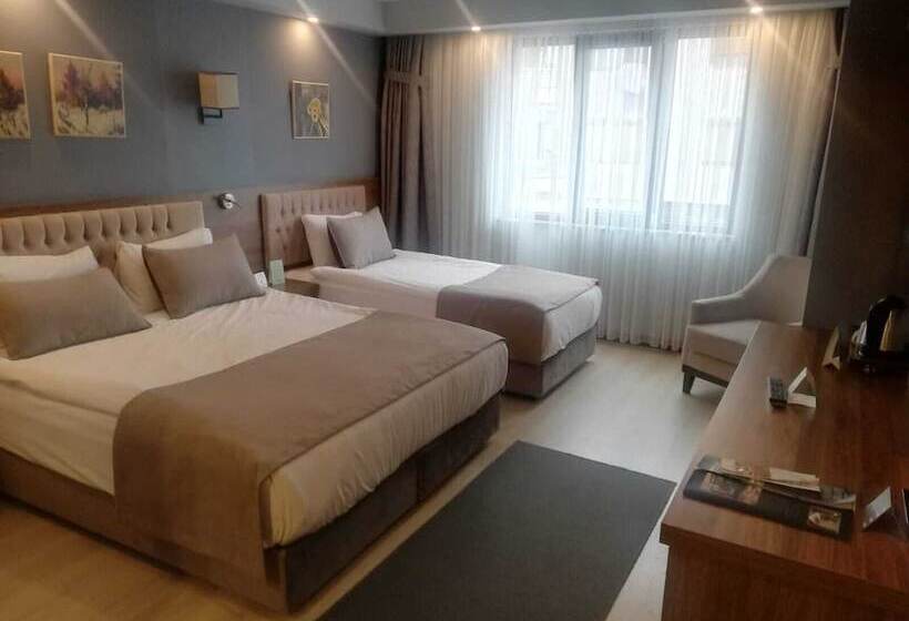 スタンダードルーム, Oytun Park