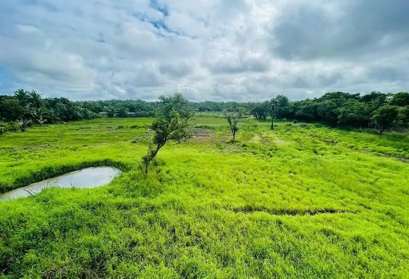 デラックスルーム, Four Points Resort   Anuradhapura