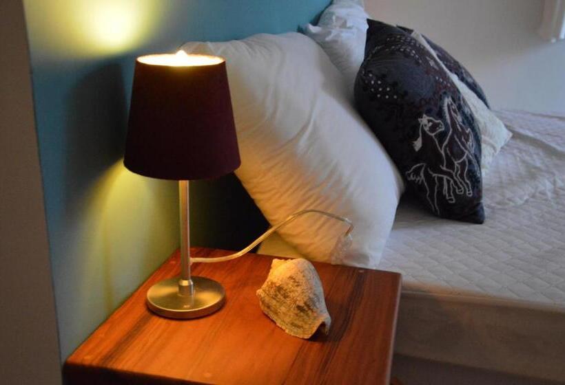 豪华房间, Chill Mango