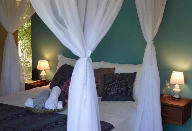 豪华房间, Chill Mango