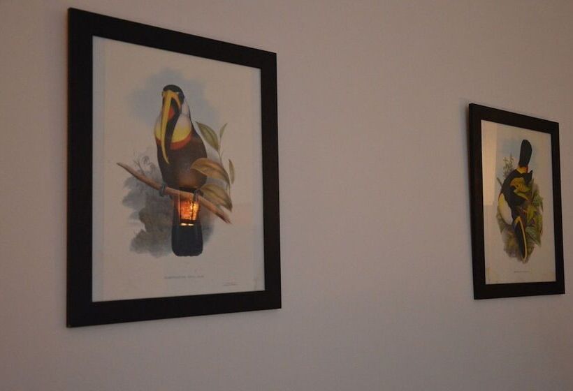 豪华房间, Chill Mango