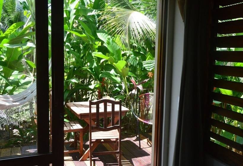 豪华房间, Chill Mango