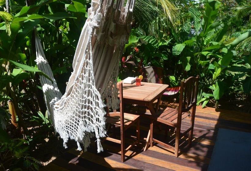 豪华房间, Chill Mango