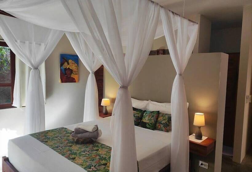 豪华房间, Chill Mango