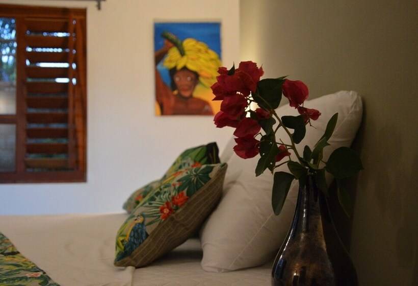 豪华房间, Chill Mango